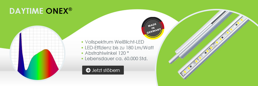 Daytime onex LED